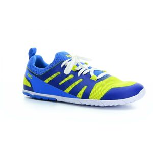 sportovní tenisky Xero shoes Forza Runner Victory Blue/sulphur M Velikost boty (EU): 42, Vnitřní délka boty: 267, Vnitřní šířka boty: 100