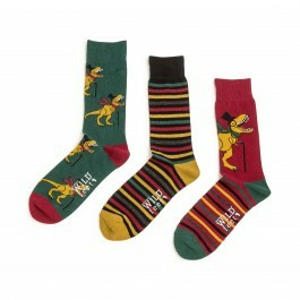 ponožky Wild feet dinosaurs 3 páry velikosti ponožek: 41-45 EU